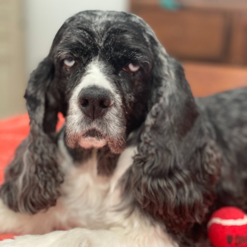 Meet your Posher, Justine